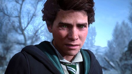 Hogwarts Legacy-Fan bekommt Panik, weil er Phönix in Kleingeld verwandelt