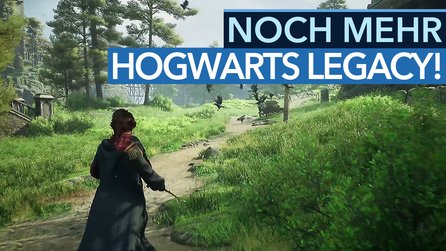 Hogwarts Legacy - Neue Gameplay-Vorschau zur Open-World-Hoffnung