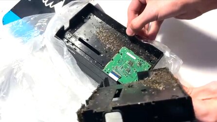 Nintendo Switch-Spieler zeigt sein ekelhaftes Dock: Nach dem Urlaub ist es komplett mit Hunderten Ameisen infiziert, sie krabbeln in jede Ritze