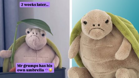 Jellycat-Fan setzt seine schlecht gelaunte Plüsch-Schildkröte neben eine Zimmerpflanze – stellt zwei Wochen später fest, dass sich die beiden angefreundet haben