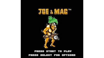 Joe and Mac: Caveman Ninja NES