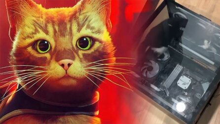 Kleine Katze klettert in Gaming-PC und wertet ihn zumindest optisch auf