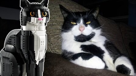 LEGO-Fan muss sein Katzen-Set umbauen, weil seine echte Katze es hasst - und das Ergebnis sieht großartig aus