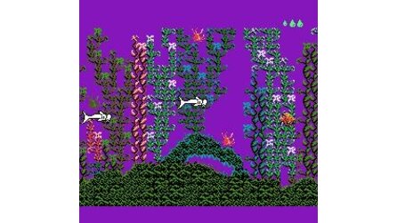 King Neptunes Adventure NES