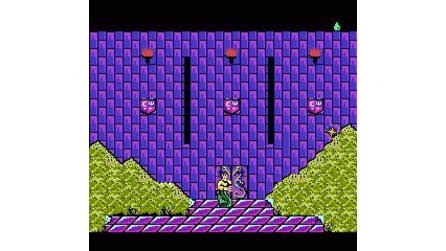 King Neptunes Adventure NES