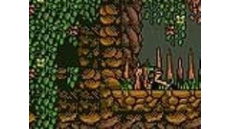 Lara Croft Tomb Raider: Curse of the Sword Game Boy Color