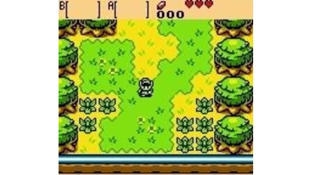 Legend of Zelda: Oracle of Ages, The Game Boy Color