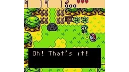 Legend of Zelda: Oracle of Ages, The Game Boy Color