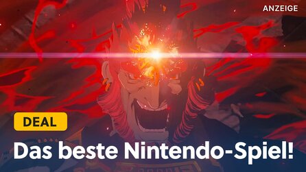 95 (!) bei Metacritic: Dieses Switch-Spiel gilt als eines der besten Spiele aller Zeiten