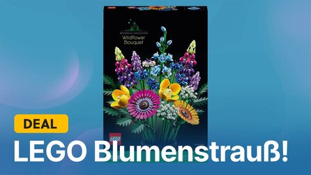 Dieser LEGO Blumenstrauß ist eines der coolsten Deko-Objekte - und gerade günstig wie nie!