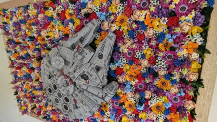 So habt ihr den LEGO Star Wars-Millennium Falken noch nie gesehen: Bastlerin baut ein 49 kg schweres Kunstwerk und gibt 4.300 Euro dafür aus