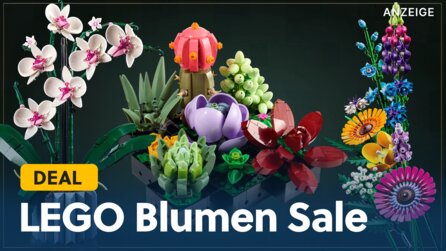 Das ist bei LEGO beliebter als Star Wars und Technic: LEGO Blumen sind im Prime Day Konter bei MediaMarkt so günstig wie noch nie!