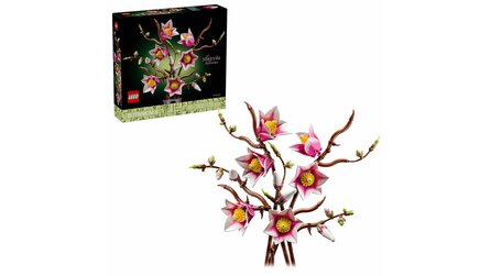 LEGO Botanicals 2026