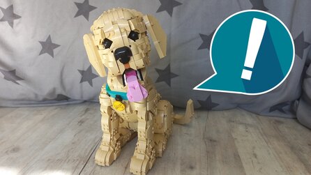 Im neuen LEGO-Welpen versteckt sich eine der berühmtesten Ausreden der Welt und ich habe mich riesig über das witzige Detail gefreut