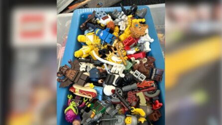 Mutter sagt, sie hat LEGO für 30 Euro vom Flohmarkt gekauft - kommt direkt mit Riesen-Einkauf zurück und allein ein Set ist 230 Euro wert