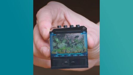 LEGO-Fan baut winzige Terrarien aus Klemmbausteinen und echten Pflanzen und zeigt, wie gut sie nach einem Jahr noch aussehen