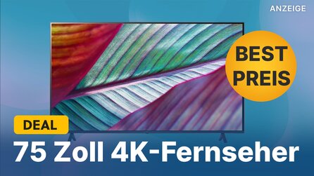 75 Zoll 4K-TV zum Schnäppchenpreis: LG-Fernseher aus 2023 für nur 679€ bei Amazon abstauben
