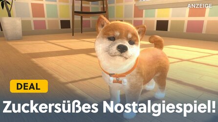 Nintendogs-Fans aufgepasst: Dieses Spiel fühlt sich an wie in eurer Kindheit und ist jetzt sogar super günstig bei Amazon!