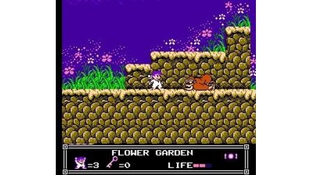 Little Nemo: The Dream Master NES