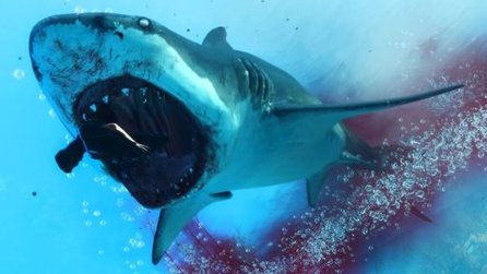Maneater für PS4 + Xbox One: Das steckt hinter dem gefräßigen Hai-Spiel
