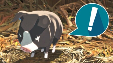In Monster Hunter Stories 3 könnt ihr euch Poogie sogar als Monstie schnappen - aber dafür braucht ihr viel Zeit und Geduld