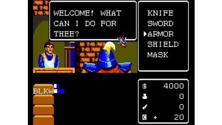 Miracle Warriors: Seal of the Dark Lord Sega Master System