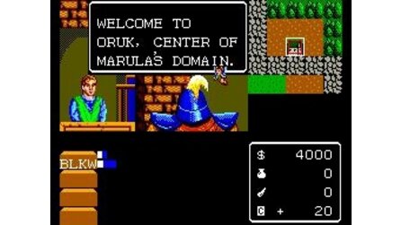 Miracle Warriors: Seal of the Dark Lord Sega Master System