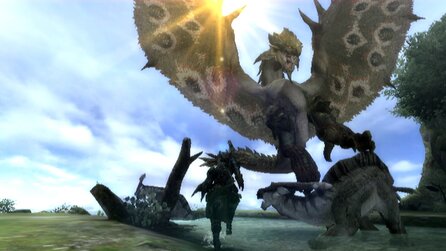 Monster Hunter Tri im Test - Test für Nintendo Wii