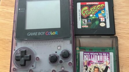 Diese Mutter durchsucht regelmäßig den Hausmüll und bringt plötzlich einen funktionierenden Game Boy Color und 2 Spiele nach Hause