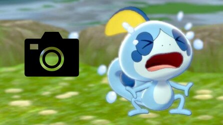 New Pokémon Snap macht euch zum Rowdy, der Pokémon zum Weinen bringt
