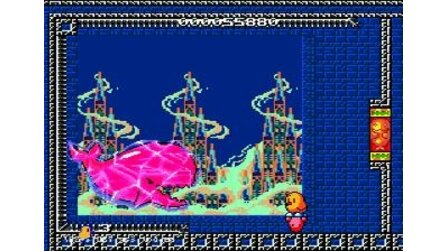 New Zealand Story, The Sega Mega Drive