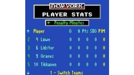 NHL Hockey Game Gear