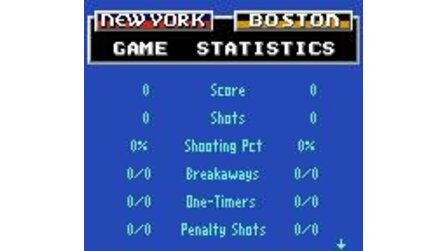 NHL Hockey Game Gear