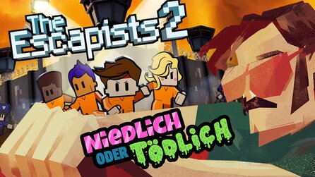 Niedlich oder tödlich? Heute wird es kriminell