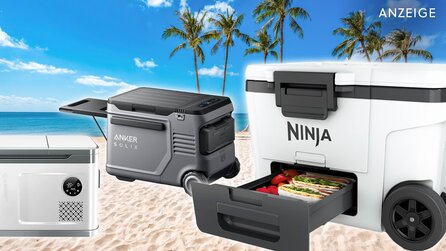 Anker, Ninja, oder Billo-Marke? Mit günstigen Kühlboxen gegen die Hitzewelle