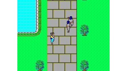 Ninja, The Sega Master System