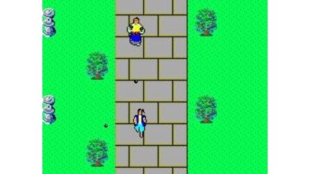 Ninja, The Sega Master System