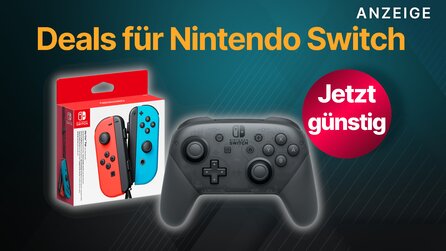 Nintendo Switch: Pro Controller + Joy-Cons jetzt günstig durch geschenkte Mehrwertsteuer