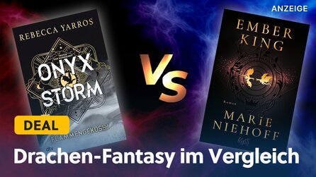 Diese Buchreihe ist den TikTok-Hype absolut nicht wert – ich empfehle lieber Fantasy einer deutschen Autorin!