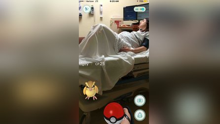 Pokémon GO - Die skurrilsten Pokémon-Fundorte