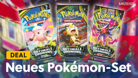 Amazon vs. Scalper: Der Kampf um das Pokémon TCG geht in die nächste Runde