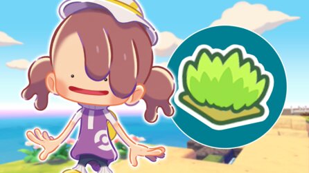 Pokémon Pokopia: Alle Habitate aus dem Habitatdex, die wir bisher im Spiel gefunden haben