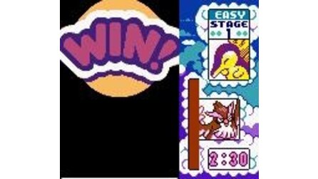 Pokémon Puzzle Challenge Game Boy Color