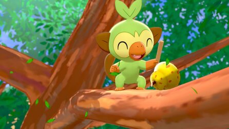 Schwert + Schild könnte den Weg für ein Open World-Pokémon ebnen