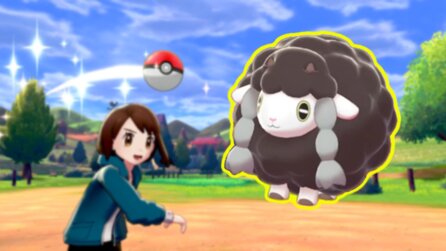 Pokémon Schwert + Schild-Fan findet nach 67h endlich sein Wunsch-Shiny