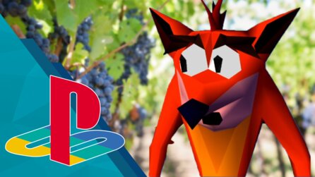 Ich habe meine PS1 betrunken am Weinberg verloren