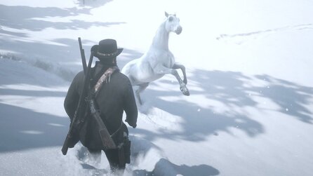 Red Dead Redemption 2-Fan will eines der besten Pferde im Spiel zähmen, aber übersieht es und rennt es mit seinem Gaul über den Haufen - tot