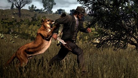 6 Monate nach Release wollen Red Dead-Fans immer noch Katzen streicheln