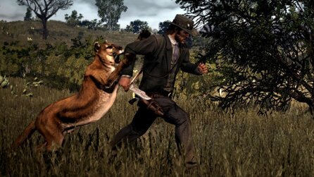 6 Monate nach Release wollen Red Dead-Fans immer noch Katzen streicheln