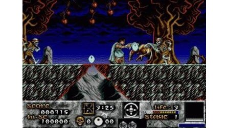 Risky Woods Sega Mega Drive